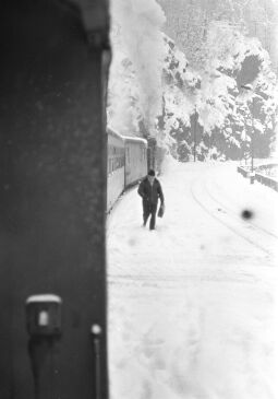 Bild: Ansicht der Weißeritztalbahn