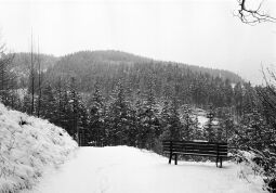 Bild: Landschaftsansicht in Geising
