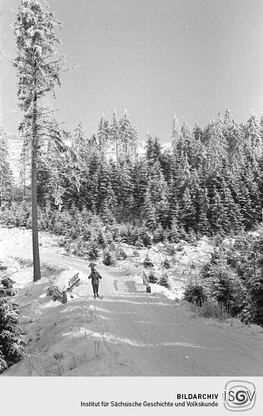 Landschaftsansicht in Schellerhau