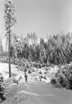 Bild: Landschaftsansicht in Schellerhau