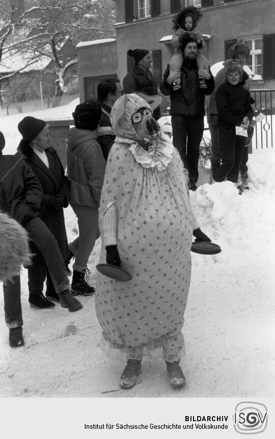 Faschingsumzug in Geising