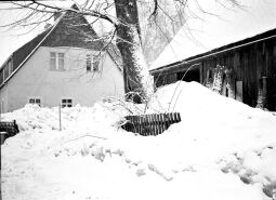 Bild: Winter in Geising