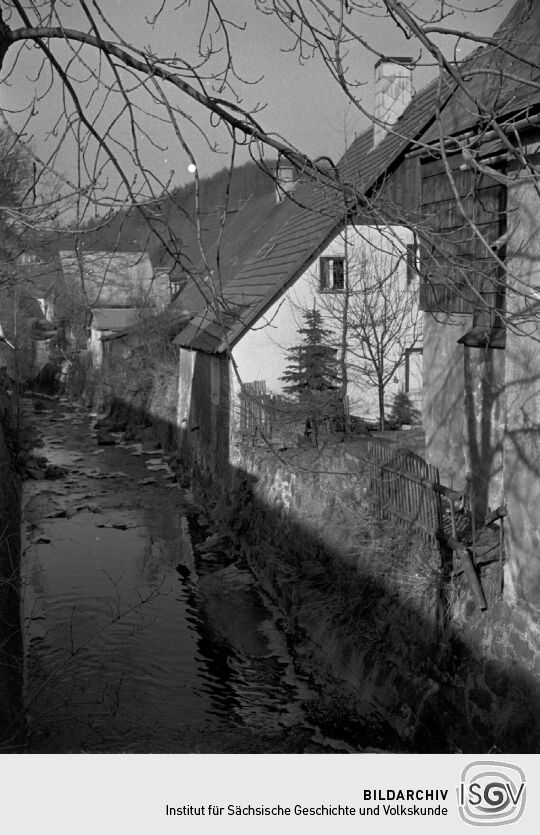 Gewässer in Geising