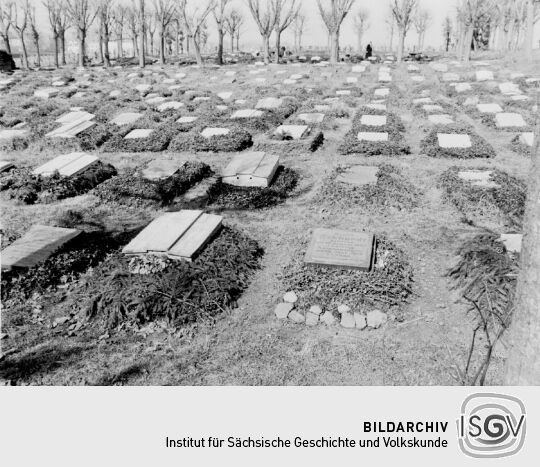 Grabplatten auf dem Friedhof in Herrnhut