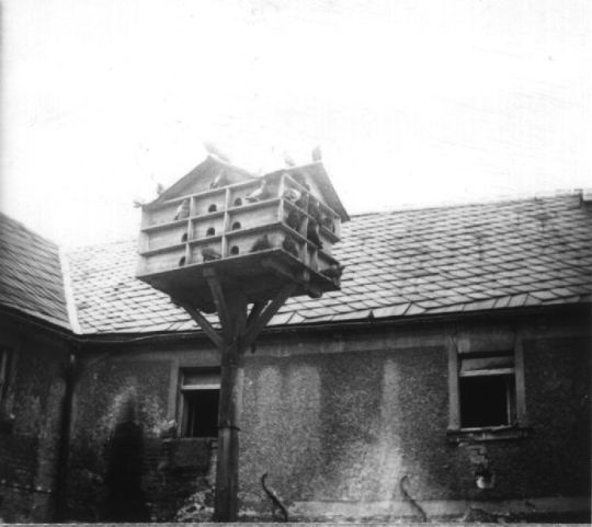 Taubenhaus im Hof eines Bauernhofs in Kobitzschwalde