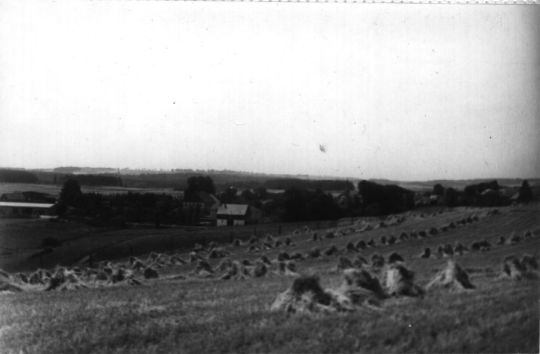 Dorf Reuth von der "Reuther Linde" aus gesehen