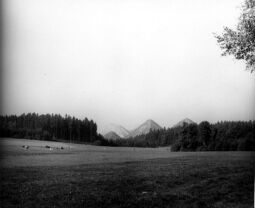 Die Haldenlandschaft von Zobes