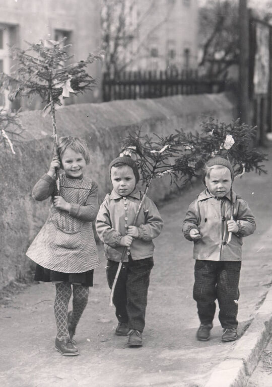 Brezelsinger mit Sommerbäumchen in Bärwalde bei Großenhain 1961