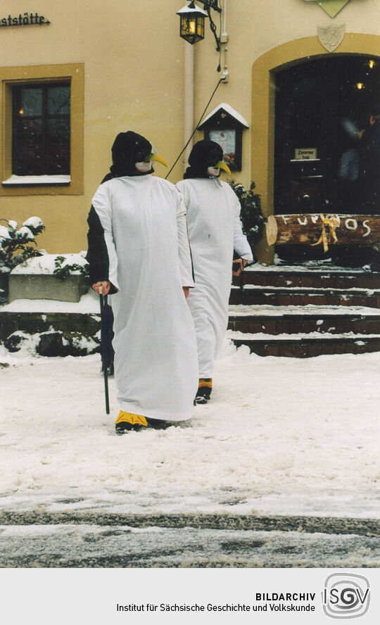 Festumzug beim Geisinger Ski- und Eisfasching