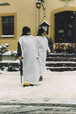 Bild: Festumzug beim Geisinger Ski- und Eisfasching