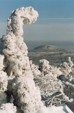 Bild: Blick zum Geisingberg