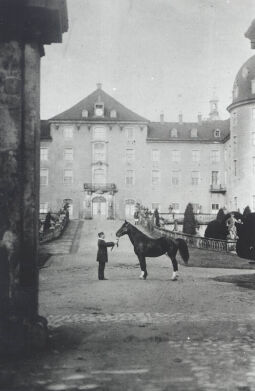 Bild: Vor Schloß Moritzburg