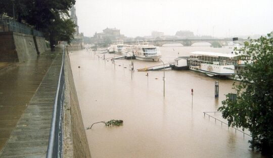 Elbe-Hochwasser in Dresden