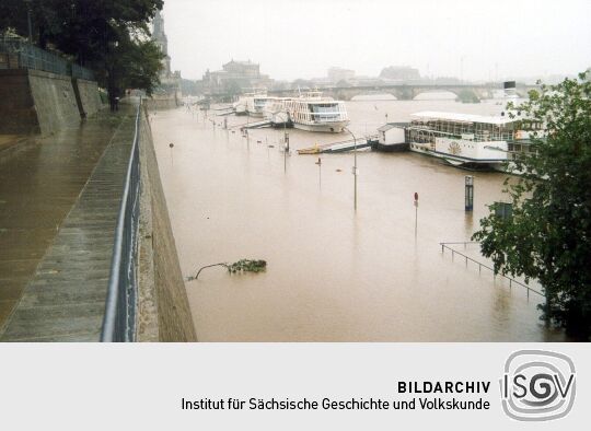 Elbe-Hochwasser in Dresden