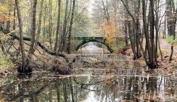 Bild: Verbindungsgraben der Schlossteiche in Moritzburg