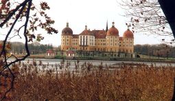 Bild: Schloss Moritzburg