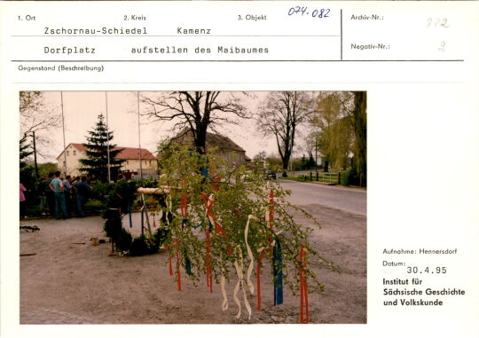 Maibaum in Zschornau