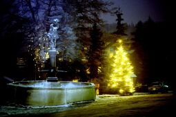 Bild: Brunnen in Lauenstein