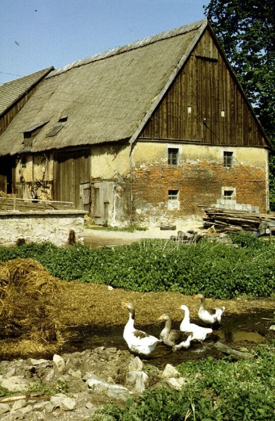 Bauernhof in Löwenhain