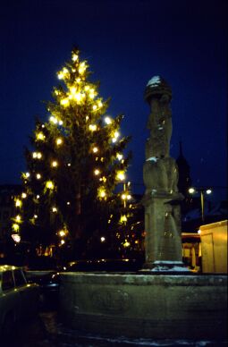 Bild: Lichterbaum in Bischofswerder