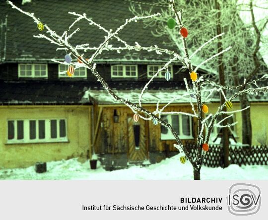 Osterbaum in Schellerhau