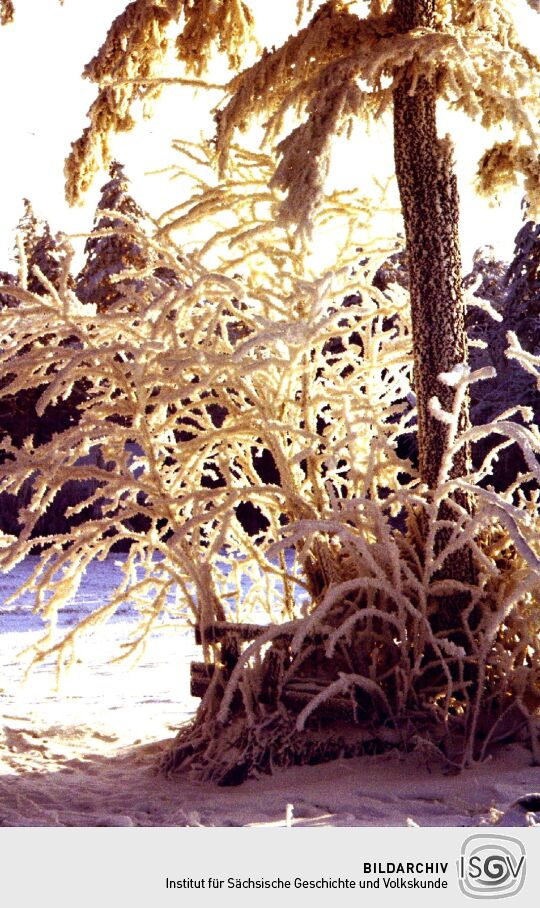 Winter am Kahleberg bei Altenberg