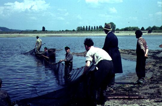 Abfischen in Niederwartha