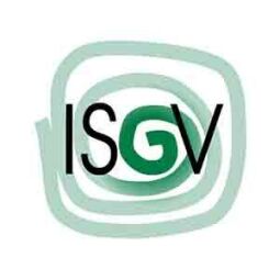 Bild: Dresdener Dächer