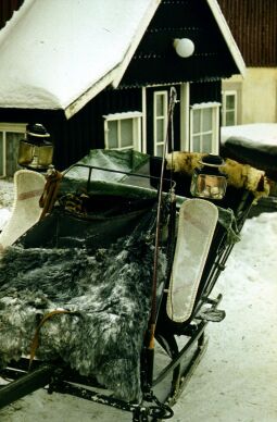 Bild: Pferdeschlitten in Altenberg