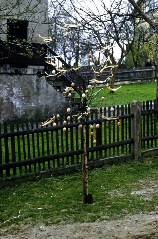 Osterbäumchen in Ebersbach