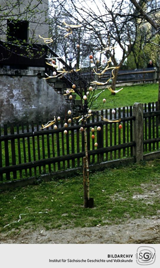 Osterbäumchen in Ebersbach