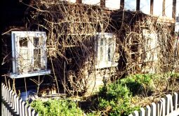 Bild: Ortsansicht in Großschönau