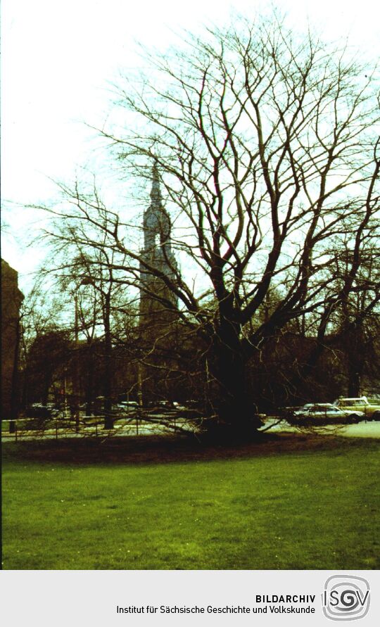 Albertplatz und Dreikönigskirche in Dresden