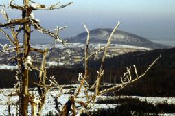 Bild: Blick zum Geisingberg