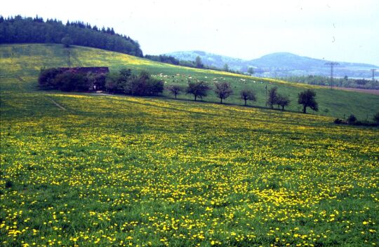 Blick zum "Heiligen Berg "