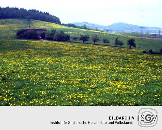 Blick zum "Heiligen Berg "