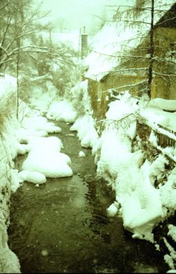 Bild: Wohnhäuser am Dorfbach