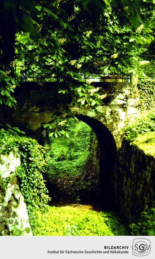 Brücke im Wachwitzer Park