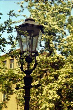 Bild: Ortsansicht in Dresden