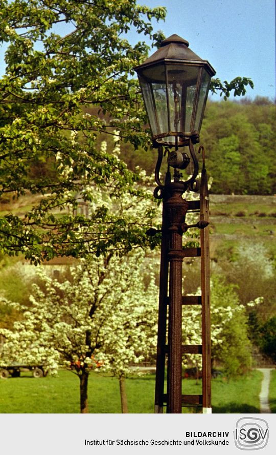 Ortsansicht in Dresden