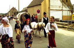 Bild: Ortsansicht in Moritzburg