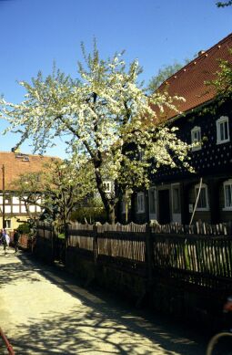 Bild: Ortsansicht in Obercunnersdorf