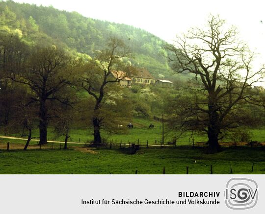 Pirna Graupa - Blick zum Elbhang mit Wohnhaus und ehem. Töpferei