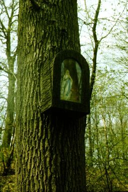Bild: 076627