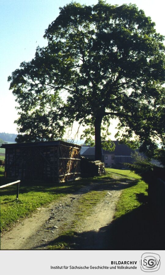 Feldweg oberhalb von Raun