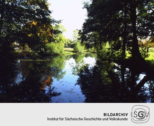 Ortsansicht in Sachsgrün