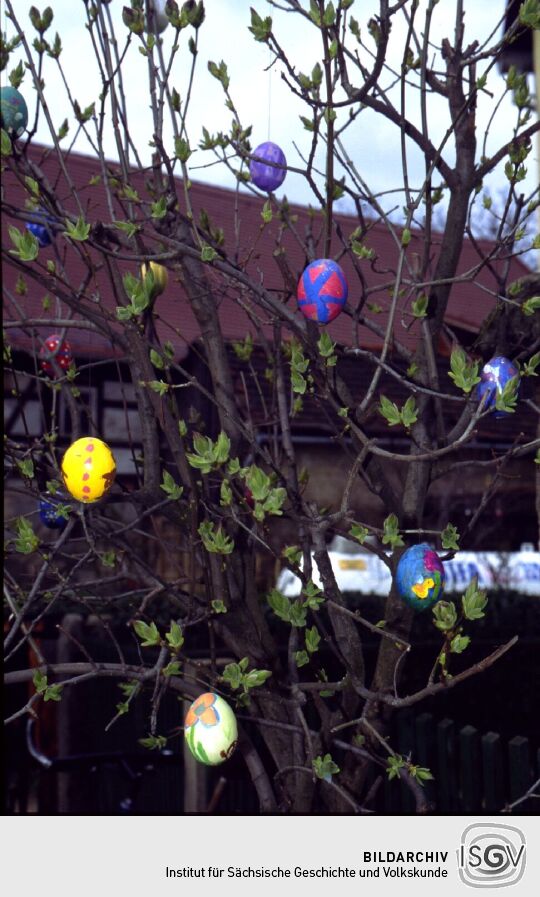 Bemalte Eier als Osterschmuck an einem Baum