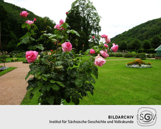 Schloss Weesenstein