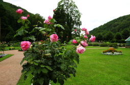 Bild: Schloss Weesenstein