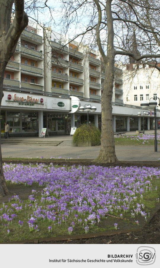Frühlingsblüte auf der Hauptstraße in Dresden